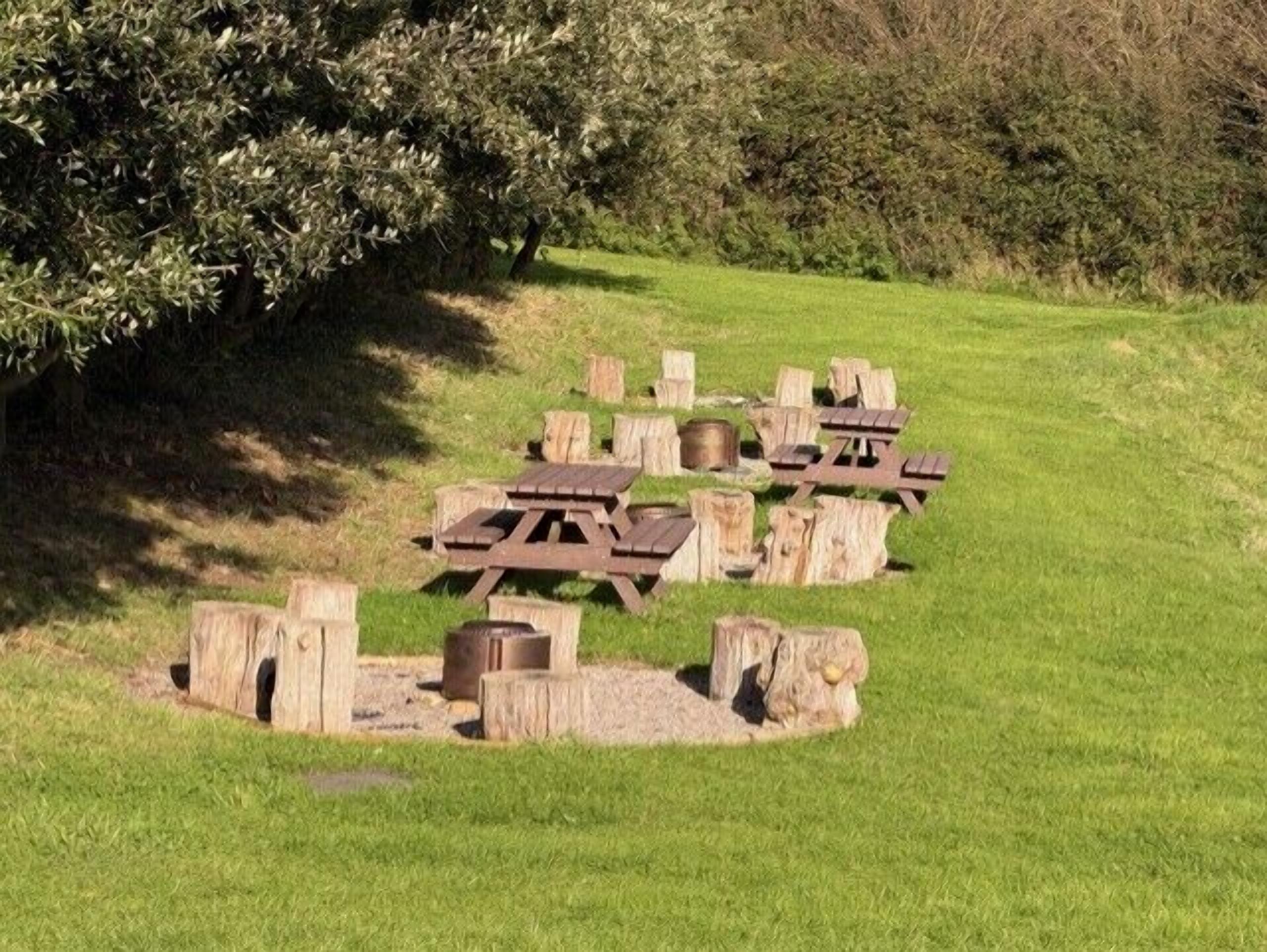 Ein Picknickbereich mit Holzbänken und Tischen, die halbkreisförmig angeordnet sind.