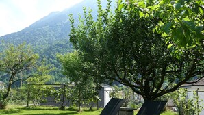 Two lounge chairs in a grassy area with a tree and a mountain in the background. - Cosy apartment for 4 guests with WIFI, hot tub, TV and patio (Acquarossa)