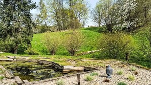 A garden with a pond, a Buddha statue, and a grassy hill.