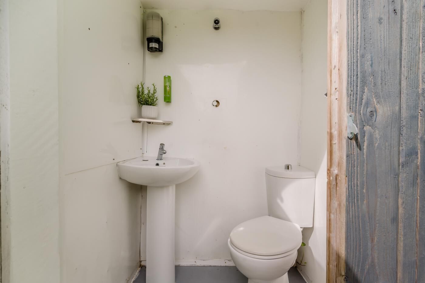 Ett litet, vitt badrum med ett handfat på piedestal, en toalett och en liten hylla med en växt.