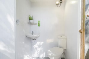A small, white bathroom with a white sink, a toilet, and a green plant on a shelf.