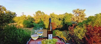 Adorable 1-bedroom castle in nice Savennières for a unique stay