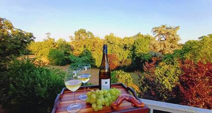 Appartement charmant dans le Château de Guerche