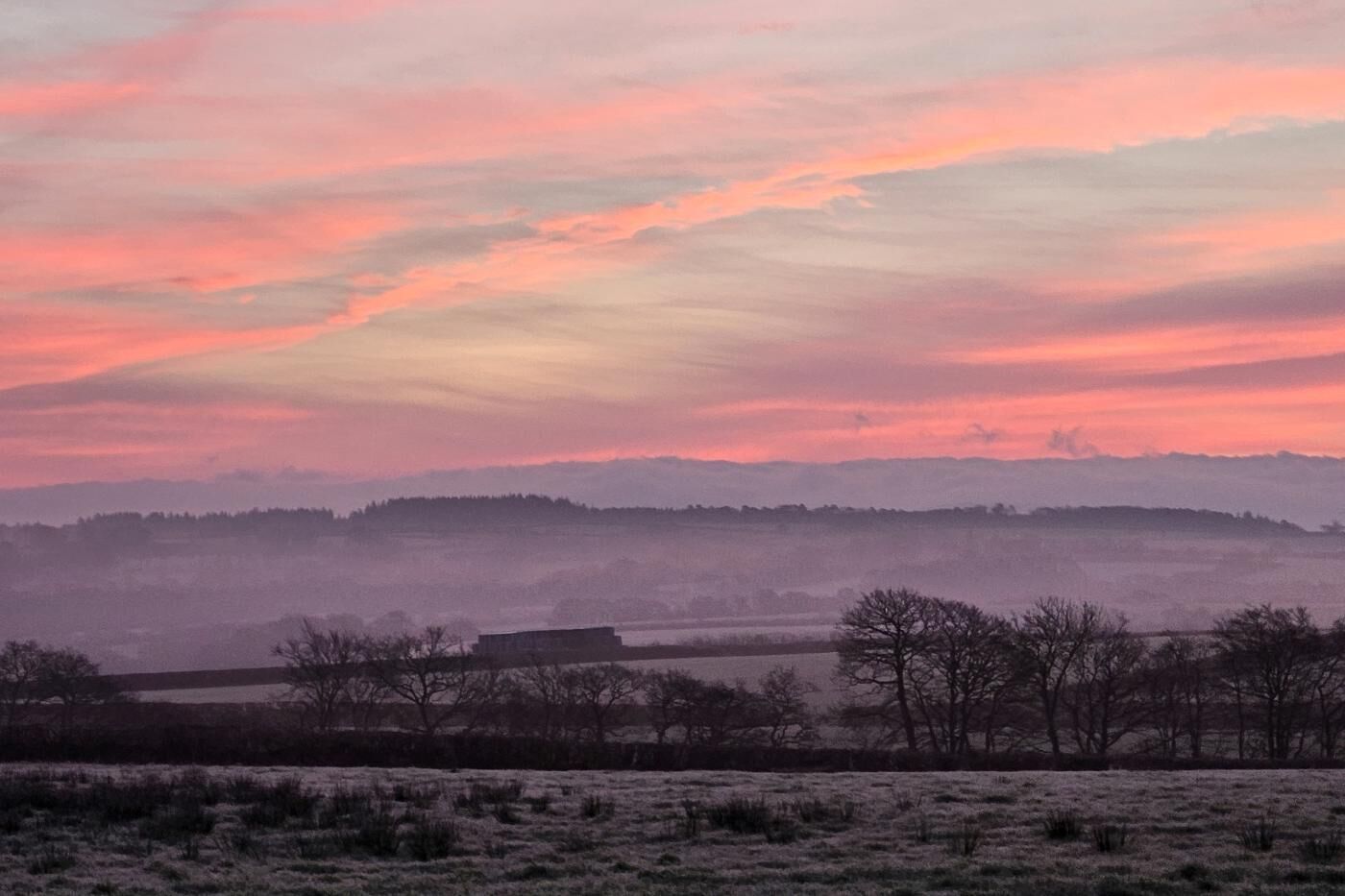 Paesaggio rurale con un campo nebbioso, alberi e colline lontane sotto un cielo rosa e viola.