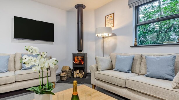 Ein Wohnzimmer mit zwei Sofas, einem Fernseher, einem Kamin, einem Tisch mit Flasche und Gläsern sowie einem Fenster mit Blick auf Bäume.