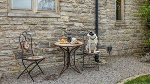 Ein Steinhaus mit einer rustikalen Außenbestuhlung, einem Hund, einem kleinen Tisch mit einem Buch und einer Tasse.