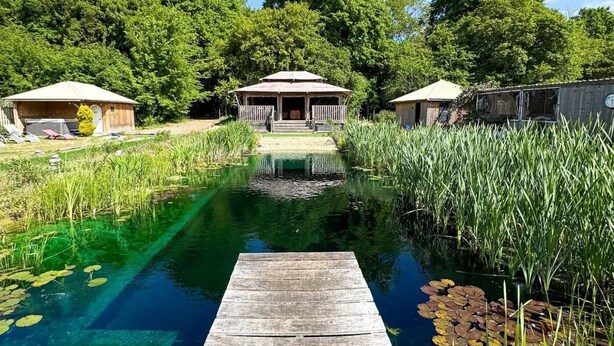 En træbrygge der fører ud til en klar sø med sivplanter, omgivet af frodig vegetation og to rustikke bygninger.
