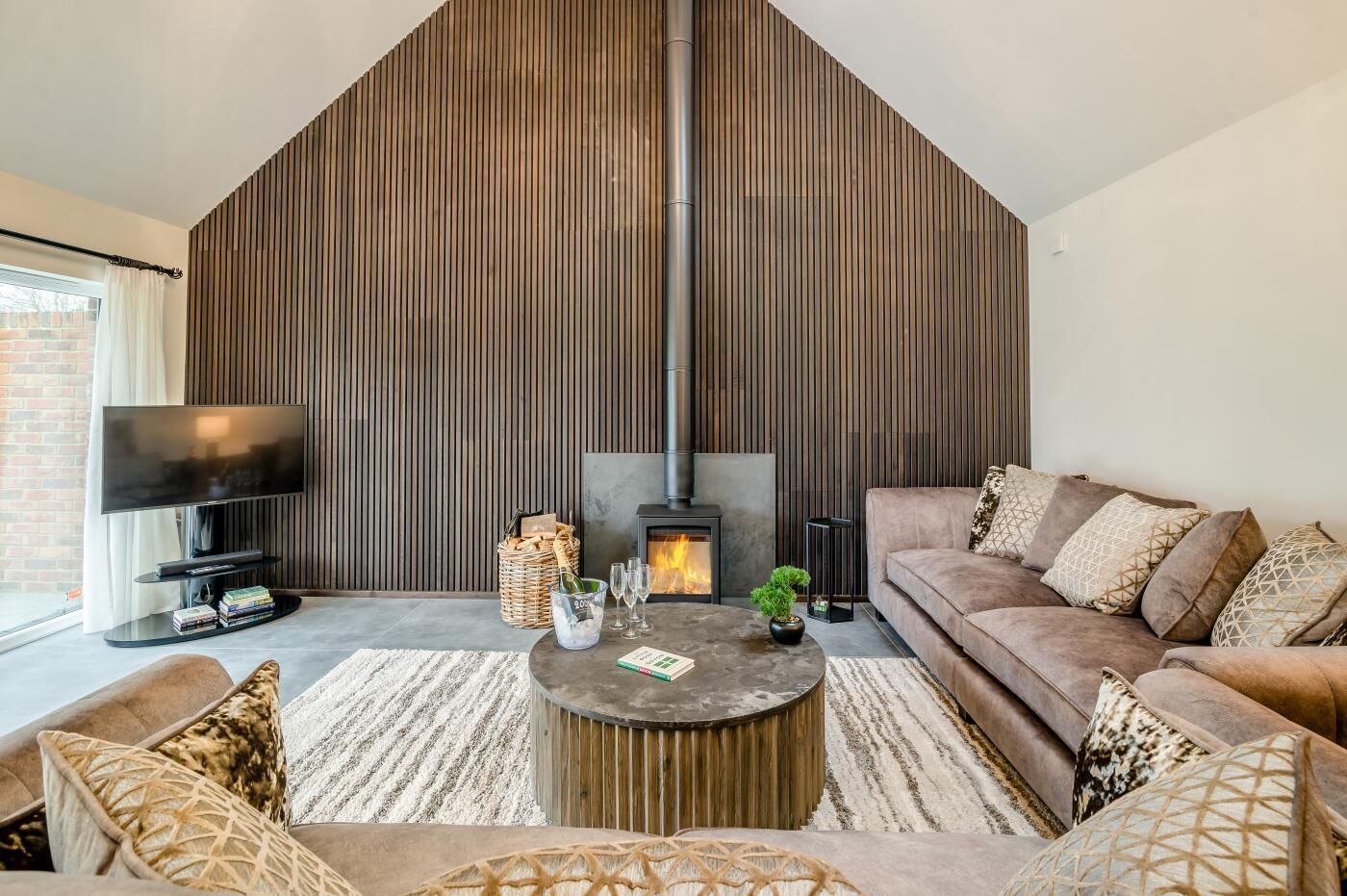 TV, fireplace