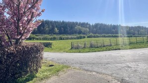 A rural landscape with a clear sky, a tree with pink blossoms, a fence, and a road. - 1 Bed in Lanercost (oc-t35009) (Burtholme)