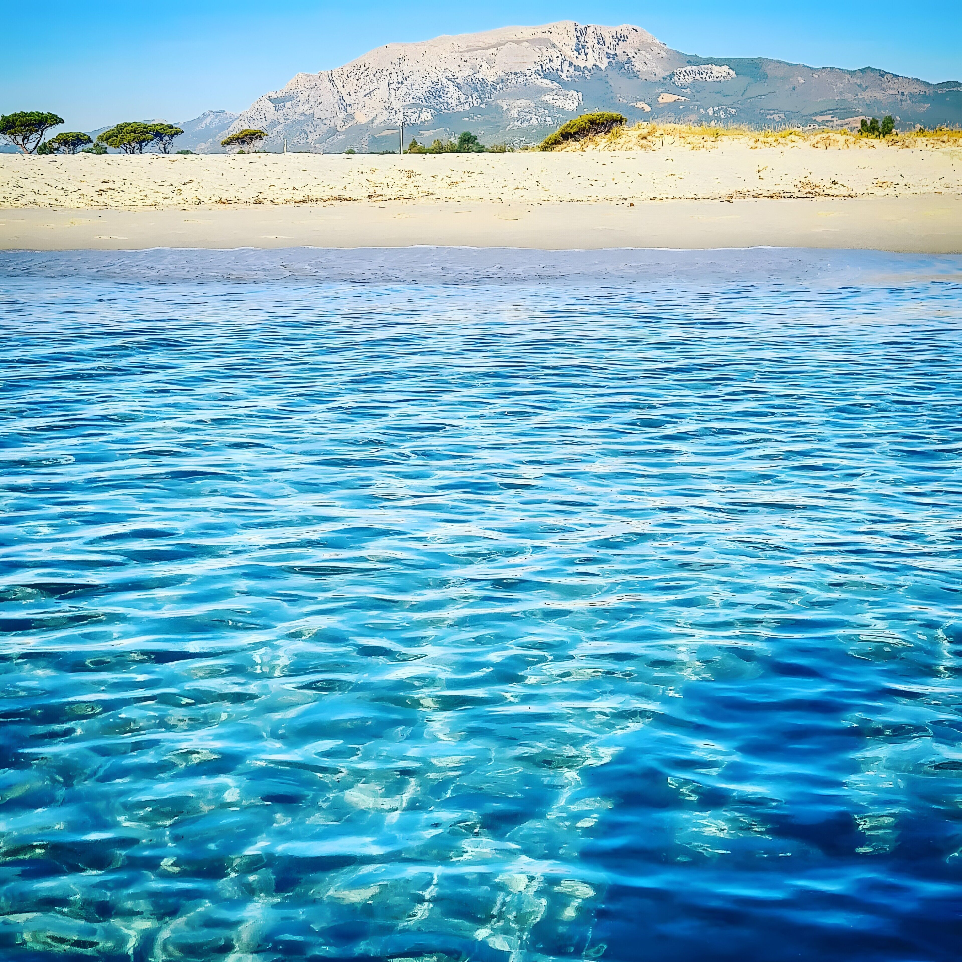 Strand