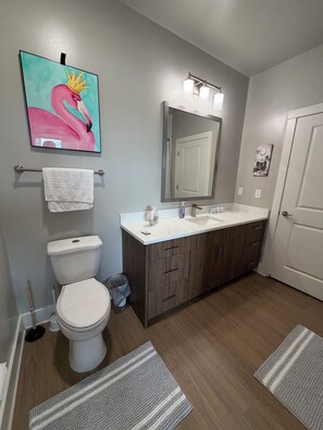 Hair dryer, towels, soap, toilet paper - Apartment In Atlanta (Atlanta)