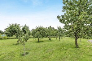 Un champ verdoyant avec de nombreux arbres et un ciel dégagé.