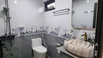 A bathroom with a toilet, bidet, and shower.