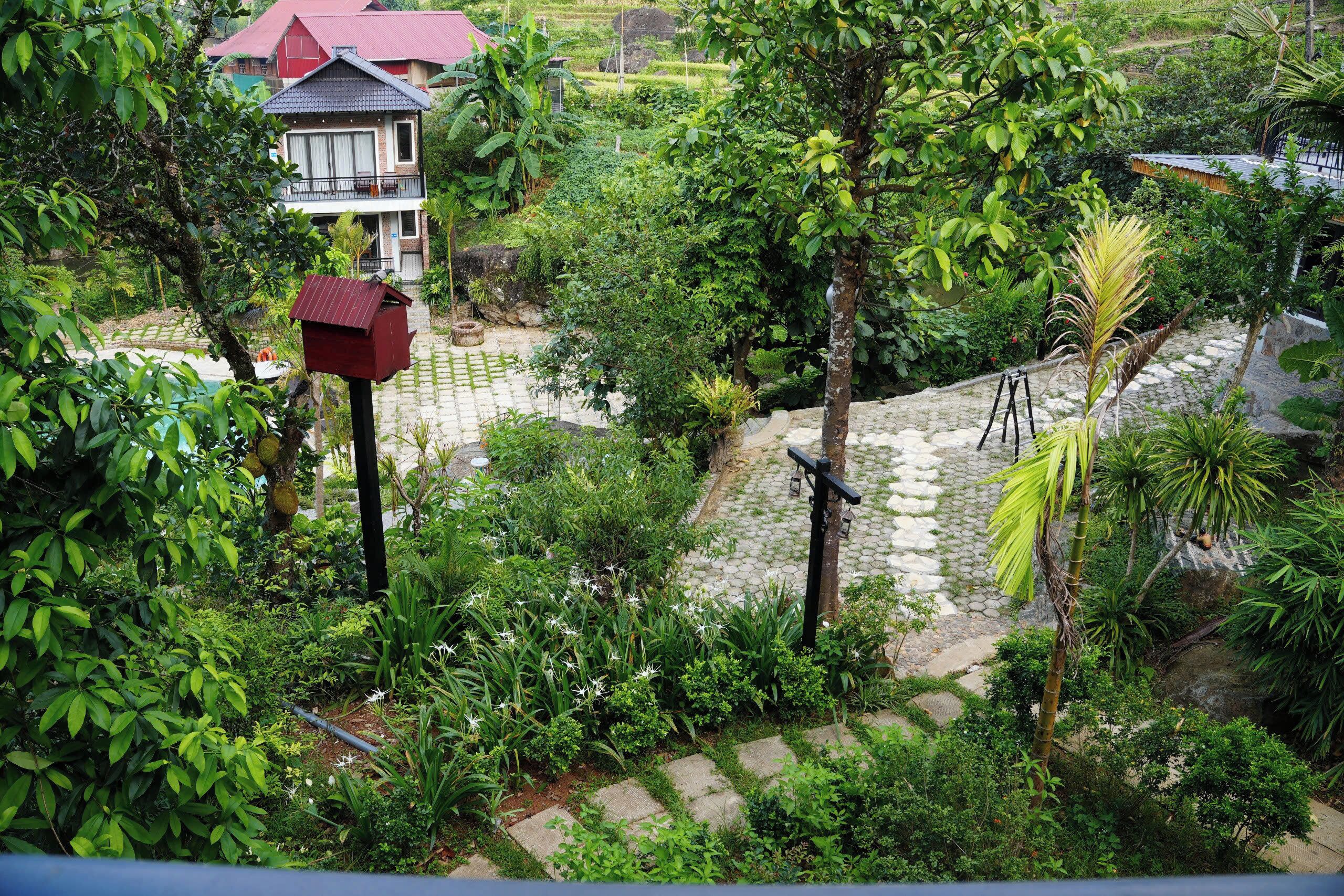 Un jardín exuberante con un comedero para pájaros, una escalera y una casa de techo rojo.