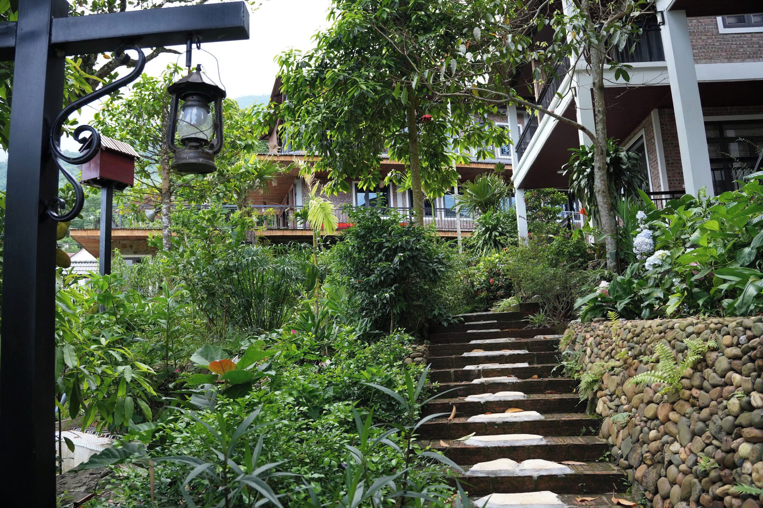 A staircase surrounded by lush greenery, leading to a building with multiple balconies.
