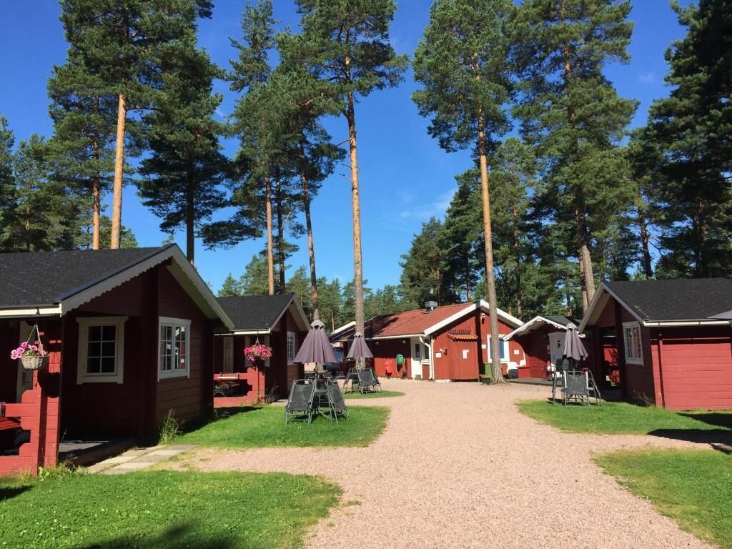 A row of red cabins with a gravel path leading to them, surrounded by tall trees.