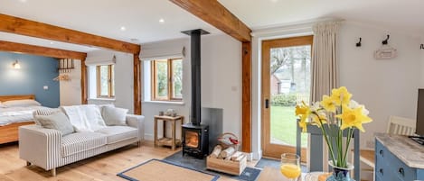 TV, fireplace