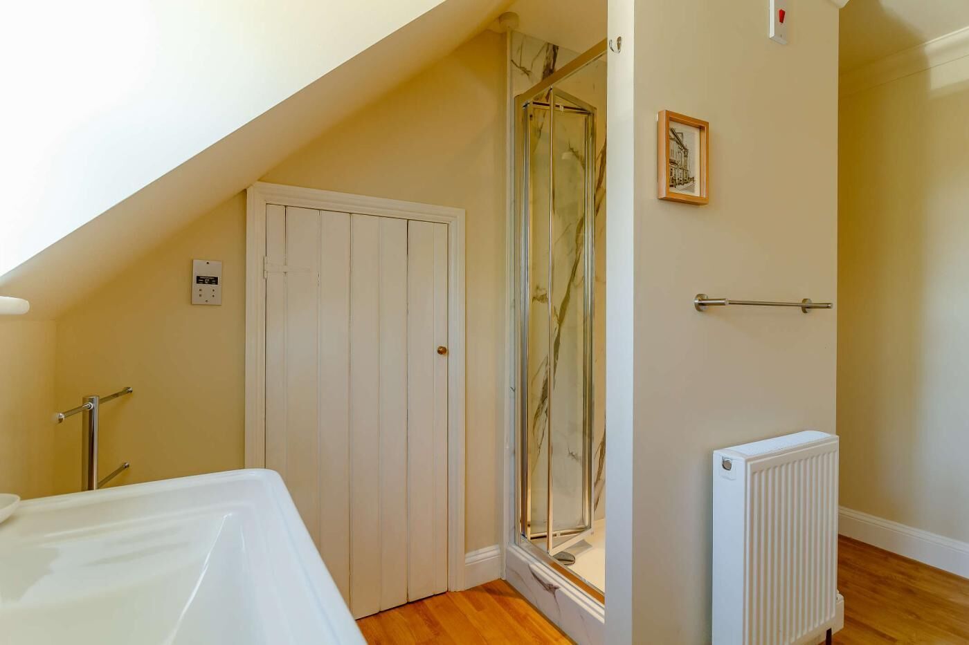 Une salle de bain avec une douche, une porte, un radiateur et un tableau encadré au mur.