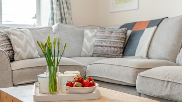 Un salon avec un canapé, une table basse, un vase contenant des plantes vertes et un saladier rempli de fraises.