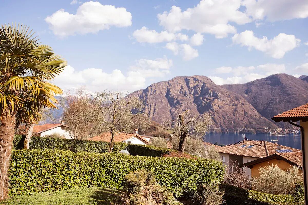 A residential area with houses, a palm tree, and mountains in the background.
