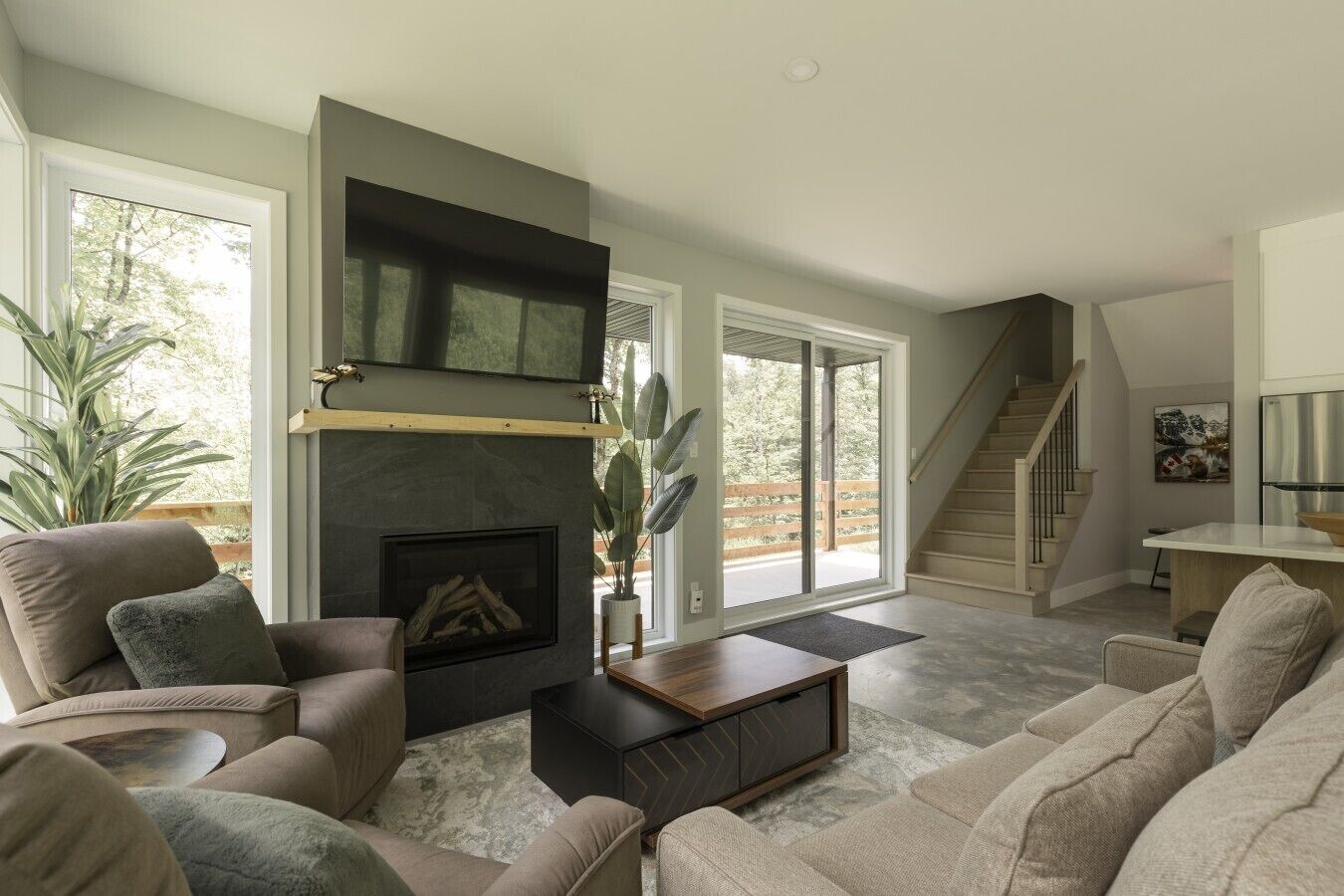 TV, fireplace