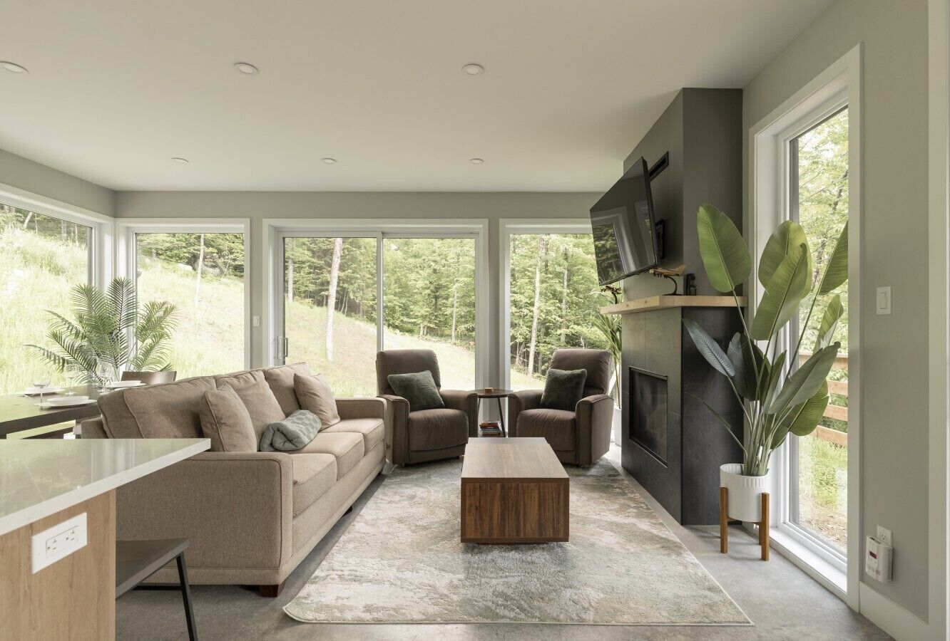 TV, fireplace