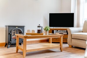 Fernseher