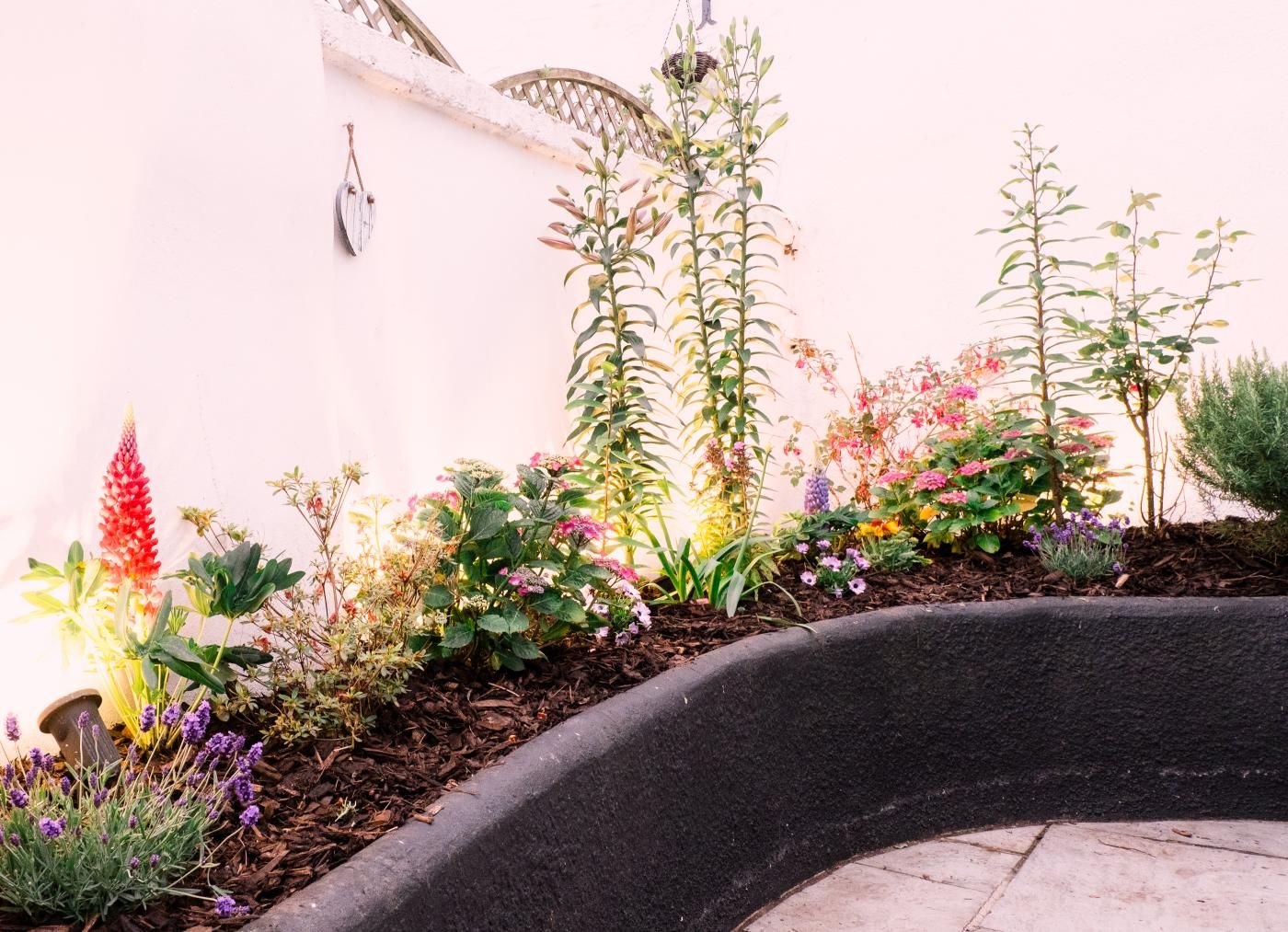 Ein Garten mit verschiedenen Pflanzen und Blumen, einem geschwungenen schwarzen Pflanzgefäß und einer weißen Mauer mit Gitterwerk.
