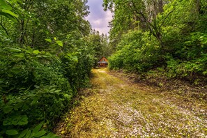 A secluded cabin surrounded by dense forest, accessible by a gravel path.
