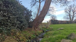 A natural landscape with a stream, trees, and a grassy field. - 1 Bed in Tyn-y-Groes (oc-g36300) (Ty'n-y-groes)