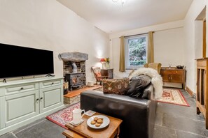 Fernseher, Kamin