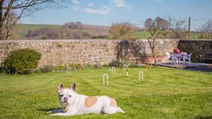A dog lying on grass with a stone wall and outdoor furniture in the background. - 3 Bed in Berwick St. John (oc-k36615) (Berwick Saint John)