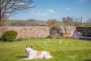 A dog lying on grass with a stone wall and outdoor furniture in the background.