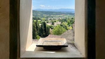 A window with a view of a landscape, including trees and distant mountains.