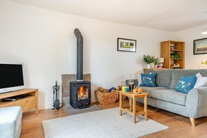 A cozy living room with a wood-burning stove, a grey sofa, a television, and a bookshelf. - 1 Bed in Glaisdale (oc-m36059) (Glaisdale)
