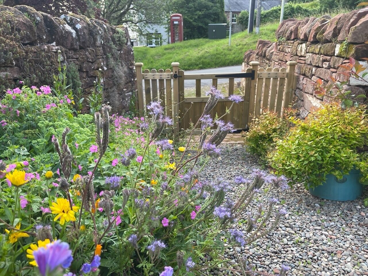 A garden with a variety of flowers and a stone wall.