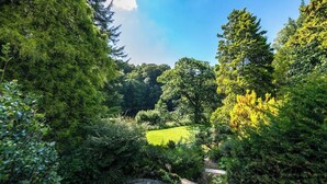 Um jardim exuberante com folhagem densa e céu claro.