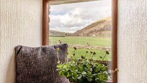 A room with a window overlooking a rural landscape, a cushion, and a potted plant. - 2 Bed in Thwaite (oc-s36623) (Thwaite)