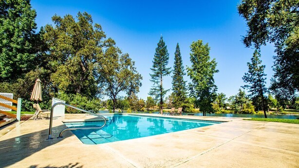 A rectangular swimming pool with a metal ladder, surrounded by a concrete deck, trees, and a clear blue sky.
