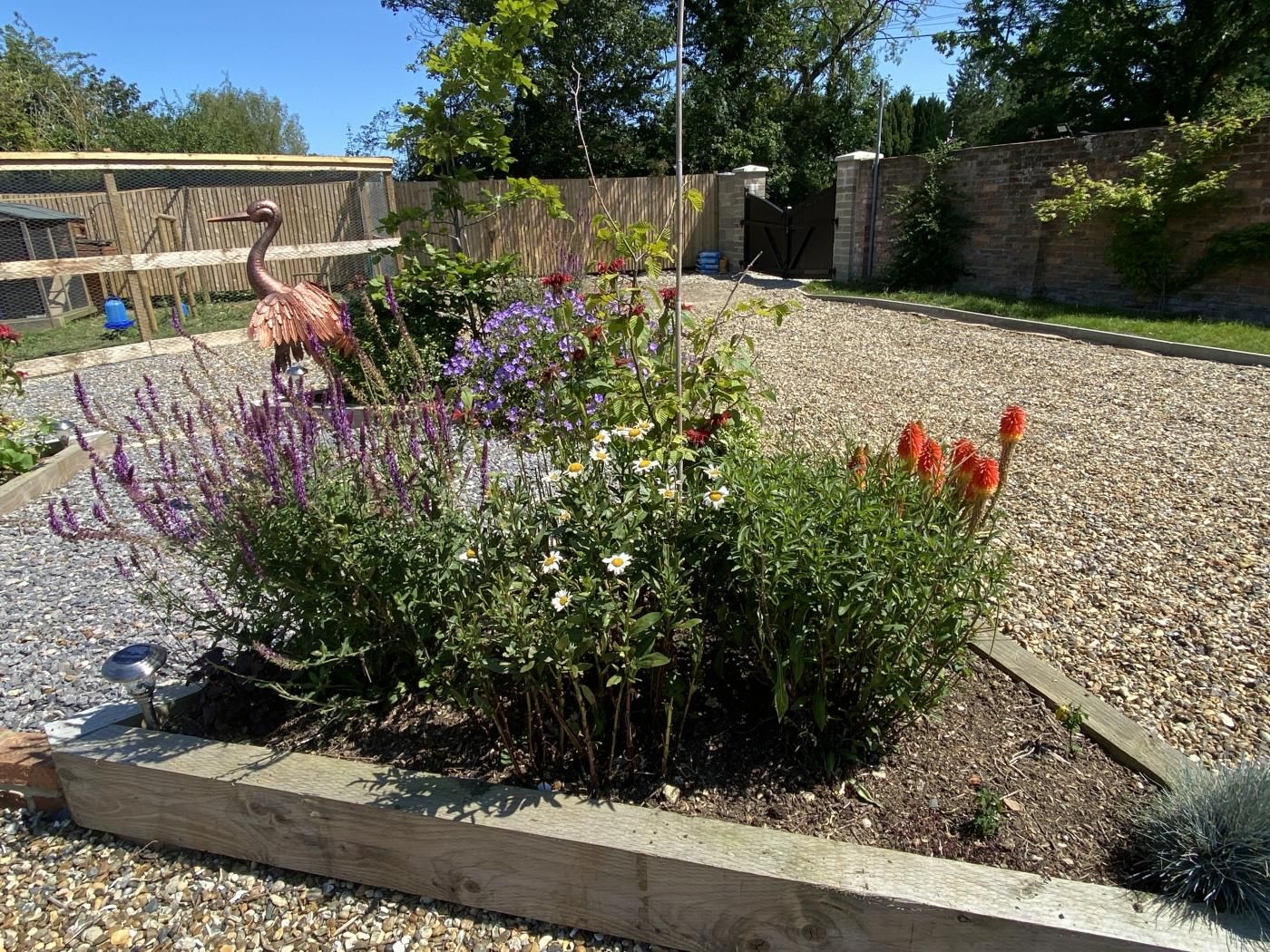 A garden with a variety of plants and a wooden fence.