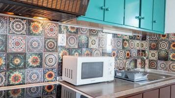 Fridge, oven, stovetop, electric kettle