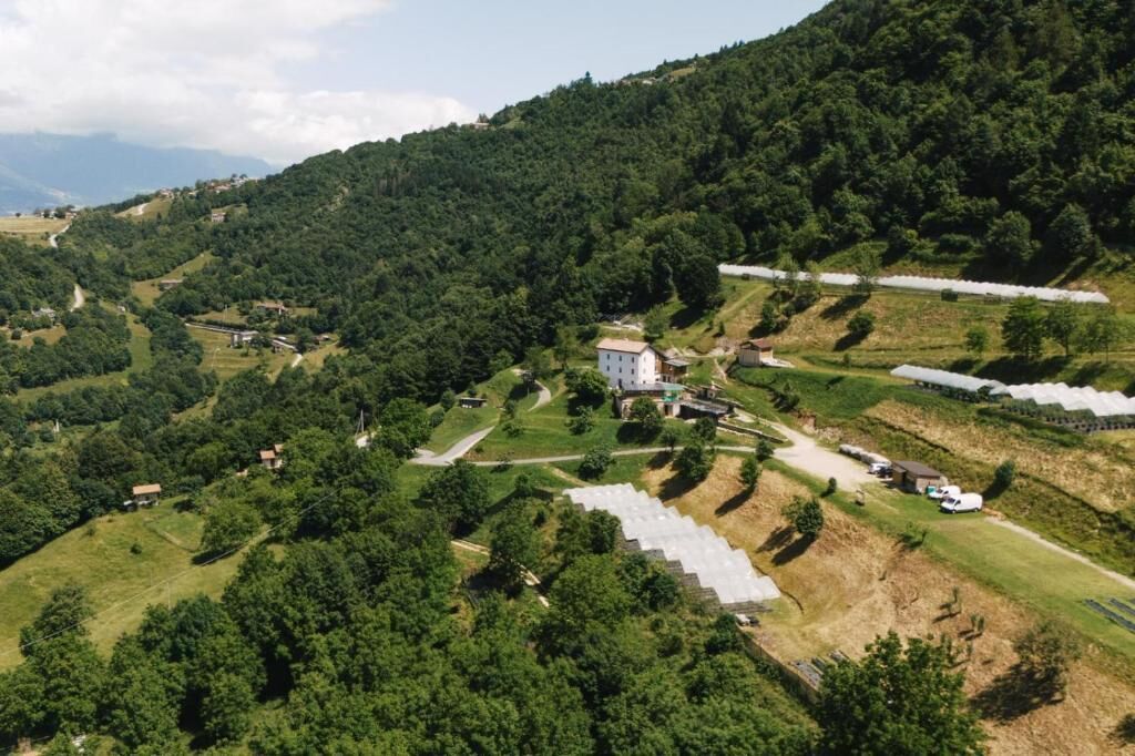 A rural landscape with a white building surrounded by green fields and trees.
