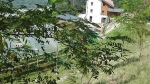 A house with a sloped roof, surrounded by greenery and overlooking a valley.