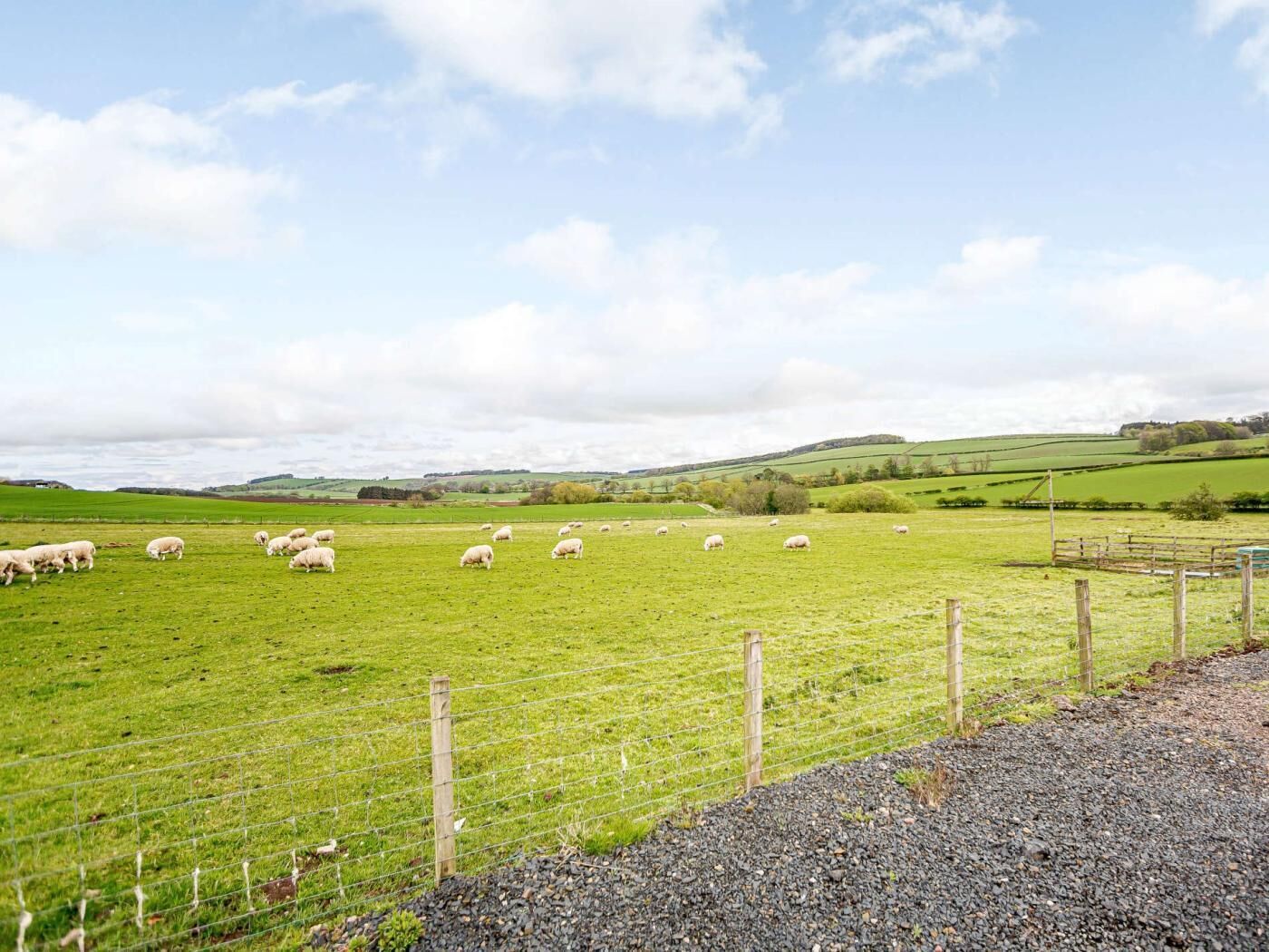 A rural landscape with a fenced field and sheep grazing.
