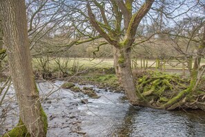 A natural stream with trees and a wooden fence in the background.