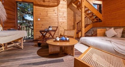 Chalets & SPA à l eau thermale