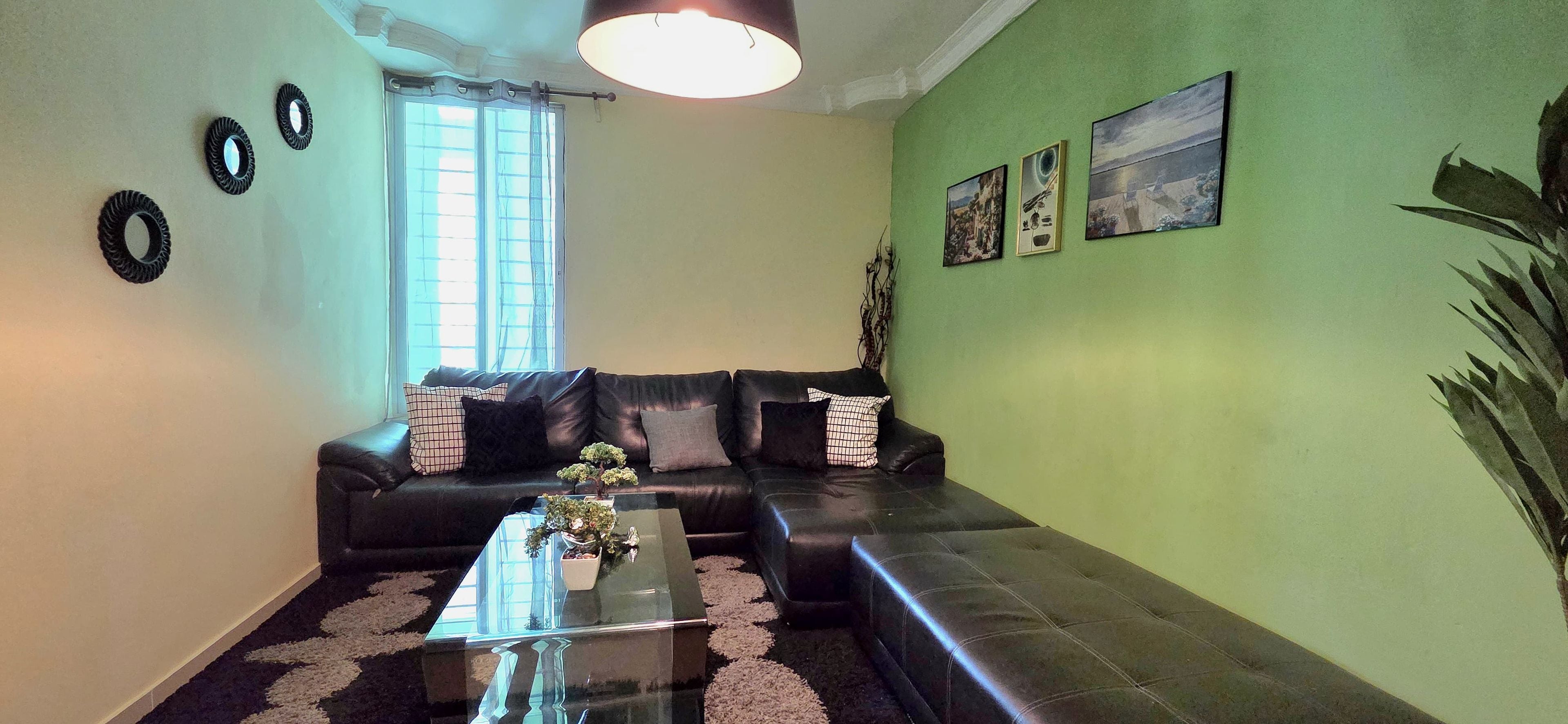 Un salon avec un canapé en cuir noir, une table basse en verre ornée d’une plante, et un mur vert décoré d’œuvres d’art.