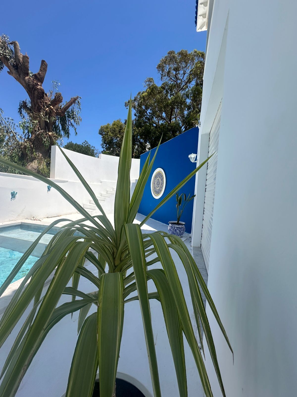 A pool area with a blue wall and a white building.