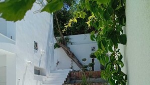 A white staircase leading to a door, surrounded by greenery and a white wall.