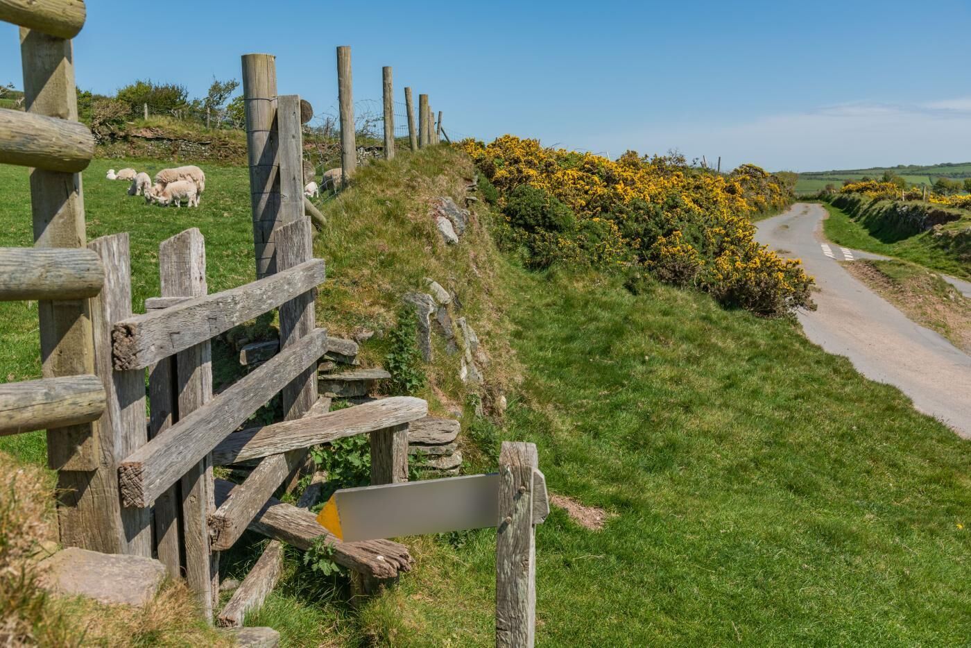 A rural landscape with a wooden fence, a dirt path, and sheep grazing.